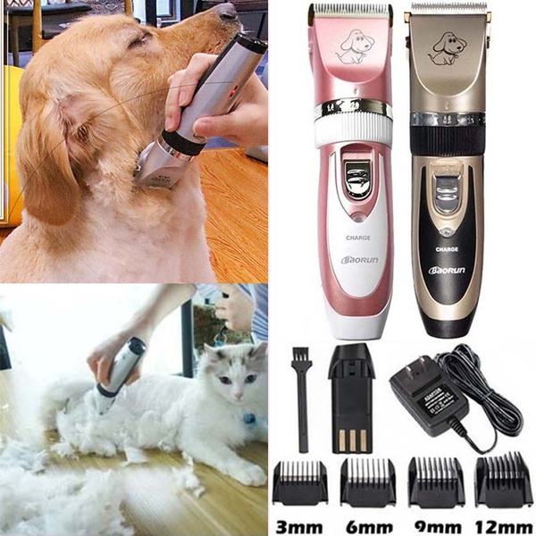 large dog grooming kit