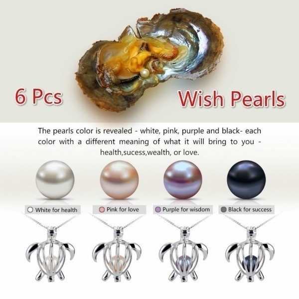 oyster wish pearl necklace