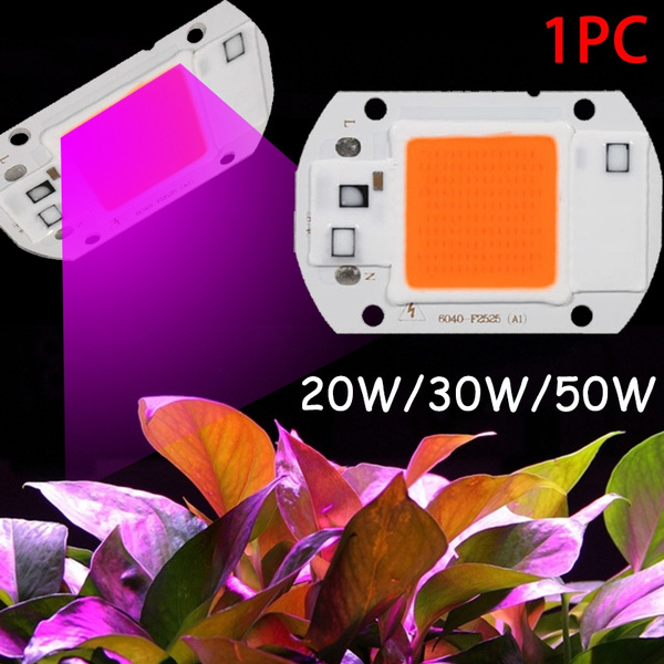 1pc Led Grow Light Chip Full Spectrum Greenhouse Grow Diy For Led Growth Lamp20 50w Led Diode Grow Lights Seedlings Plants Cute