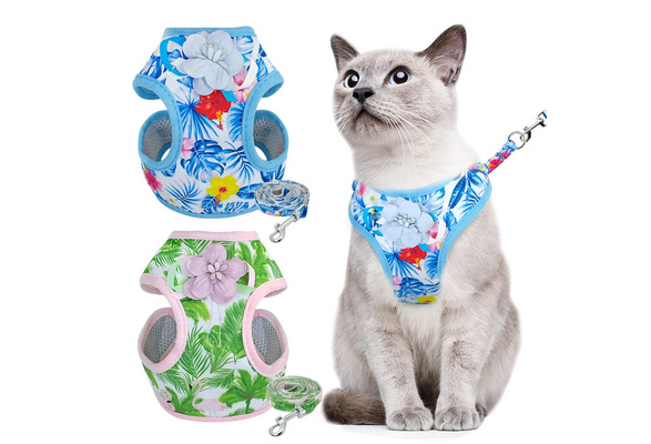 cute cat harness