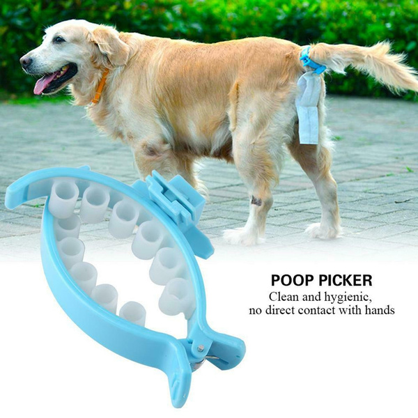 dog potty picker