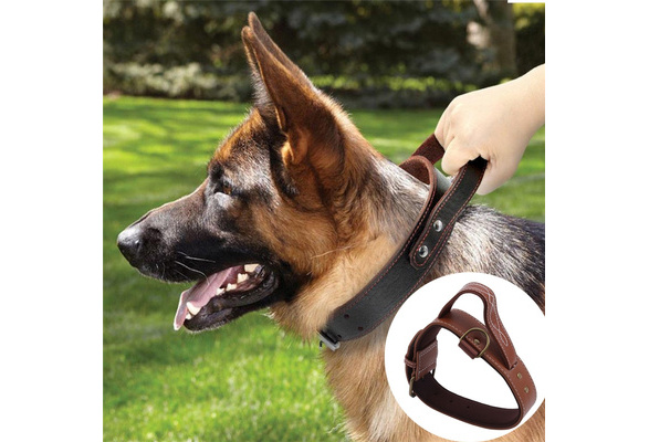 chain pet leash