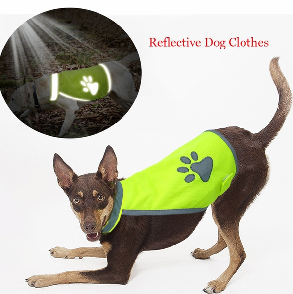 Wish dog accessories Clearance