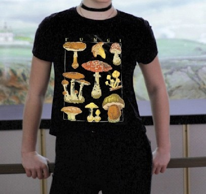 Mushroom Vintage Illustration Tshirt 