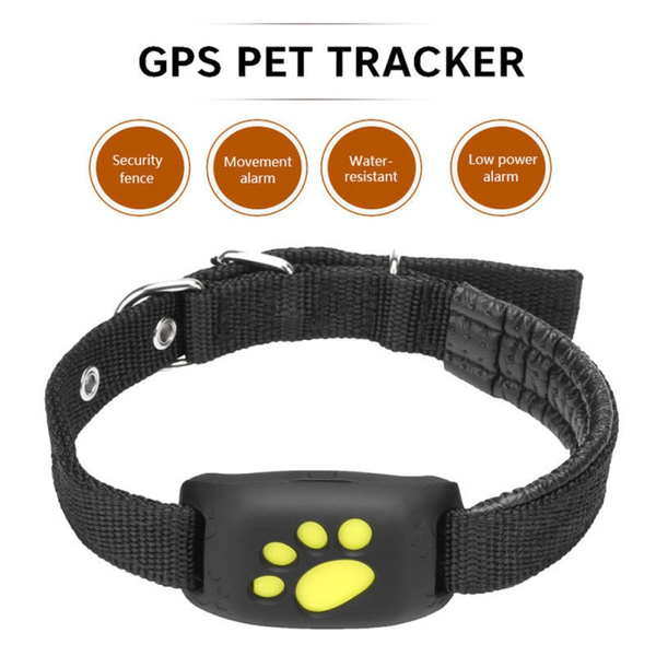 dog collar locator