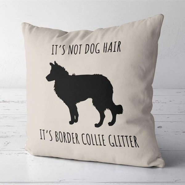 border collie products