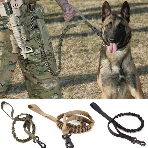 police dog training on ropes