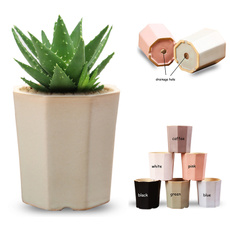 Bonsai, Mini, Ceramic, minisucculentspot