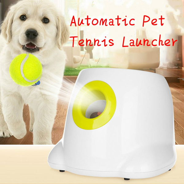 automatic dog throwing machine