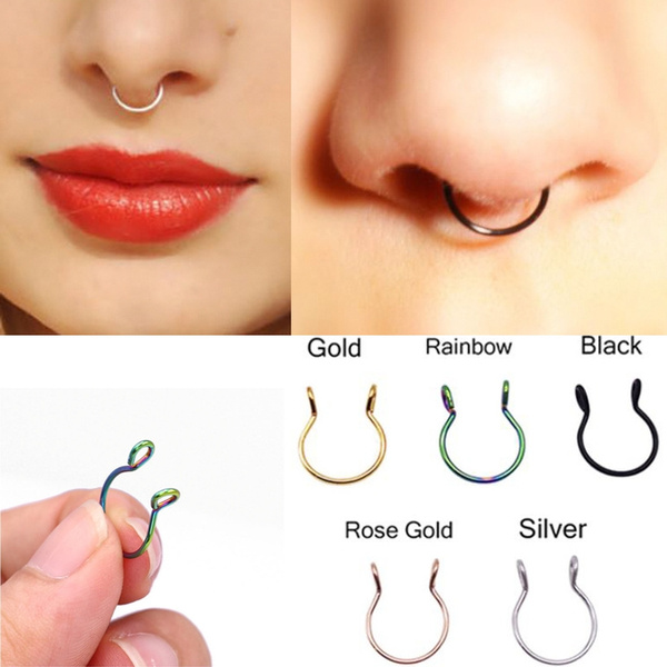 Fake nose ring hot sale and stud