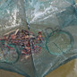 thumbnail - 2