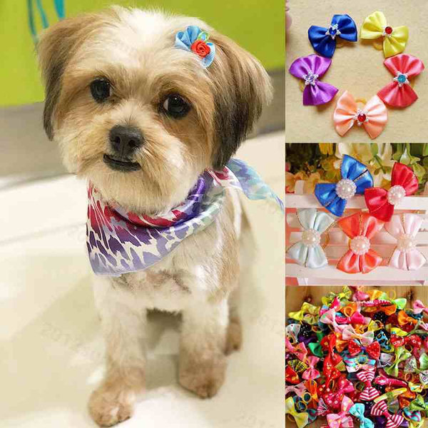 Large dog 2024 hair bows