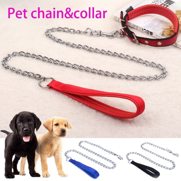 Metal chain leash for 2024 dogs