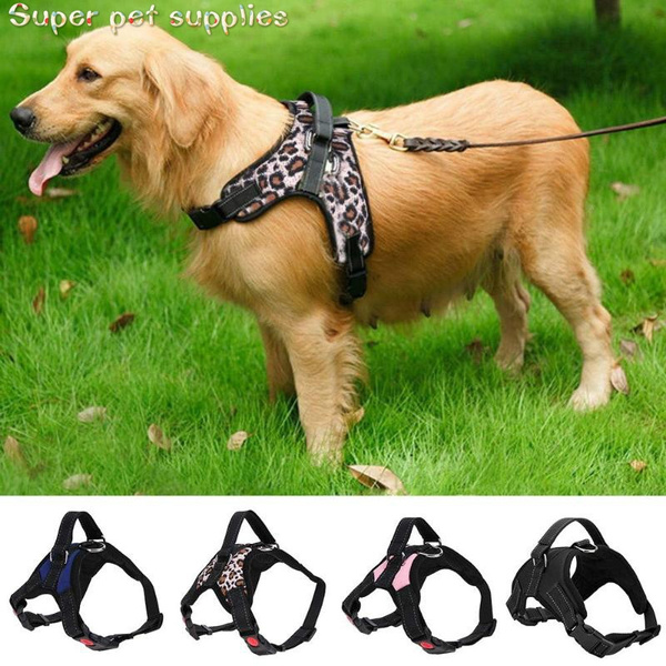canvas dog harness
