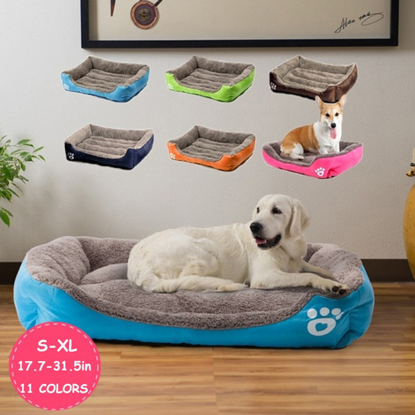 new dog beds