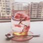 thumbnail - 6
