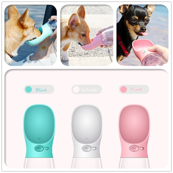 Pet Care Cup