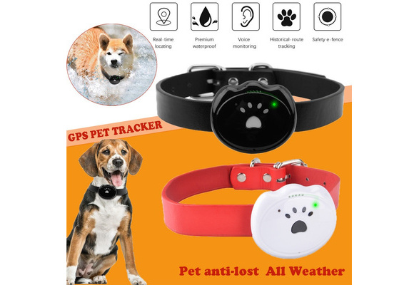 tracking collars for beagles