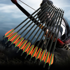 Archery, 16172022inchcrossbowboltcarbonarrow, Hunting, carbonarrow