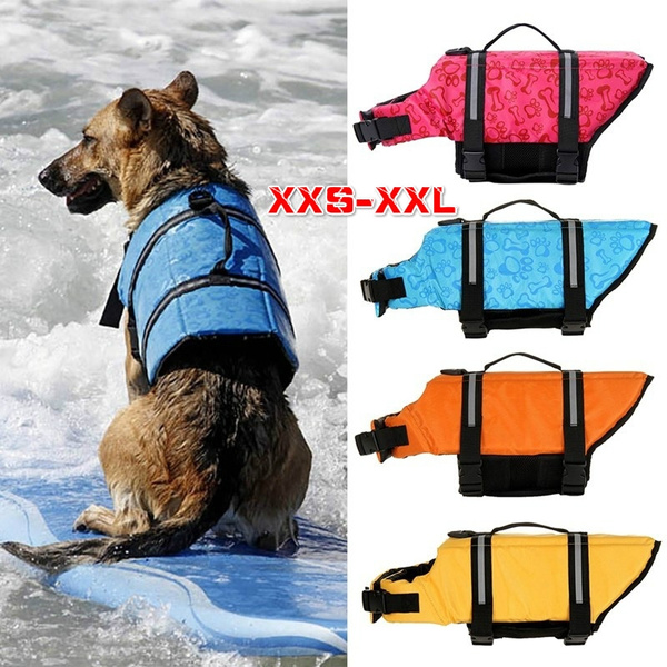 swimsuit for small dogs