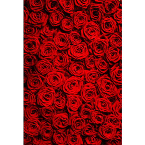 Red Rose Backdrop Studio Photography Photo Valentine's Day Background
