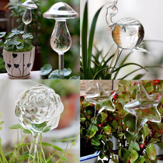 cute, Plants, Indoor, Garden
