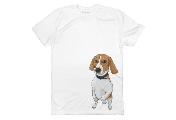 beagle t