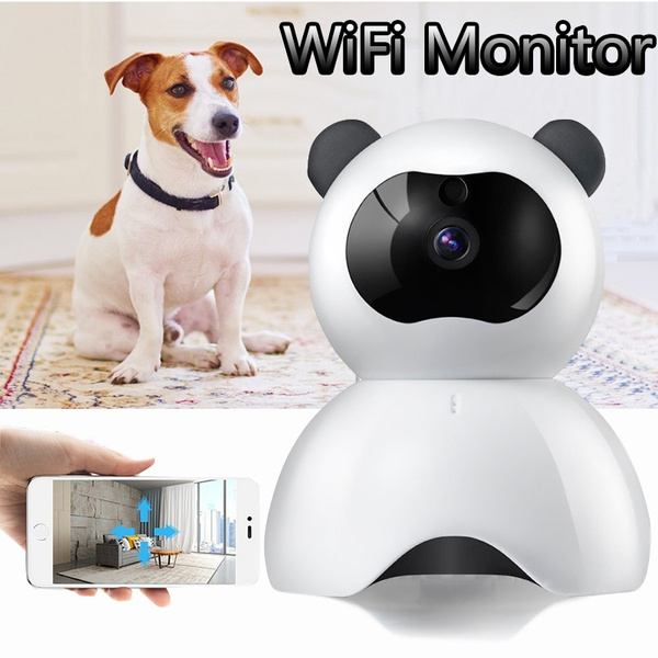 cat monitor camera