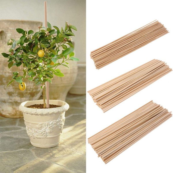 100 Wooden Bamboo Plant Sticks 40cm Garden Canes Support Flower Stick Cane 