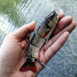 thumbnail - 12