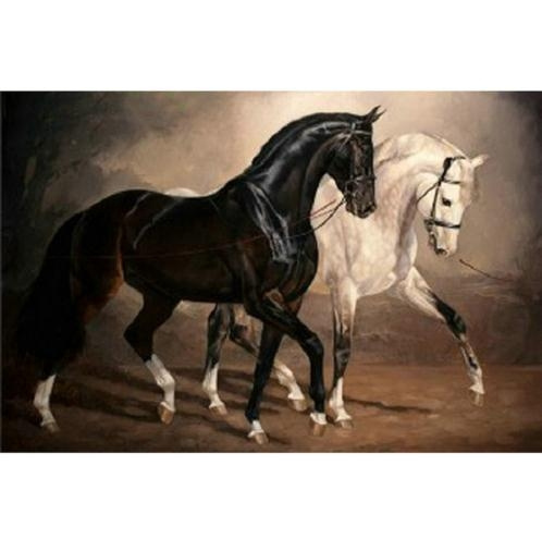 Diamond Painting Black And White Horse 5d Full Drill Diamond Painting Dimond Painting Full Y815 Wish