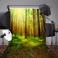 lightingstudio, Background, Photography, Tree