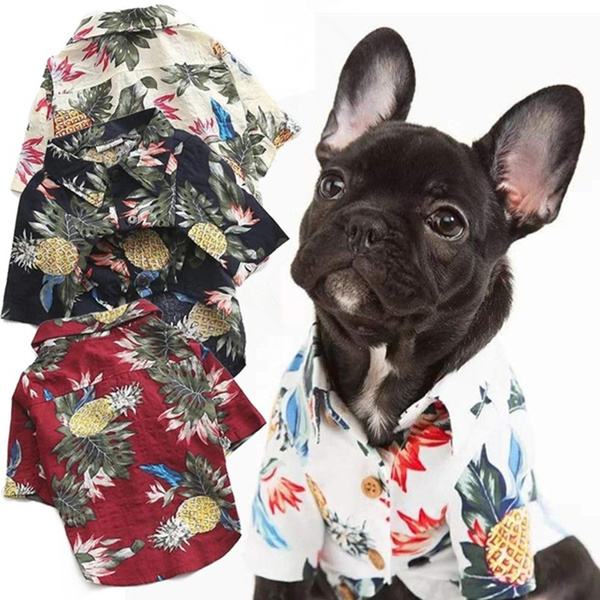 pineapple dog shirt