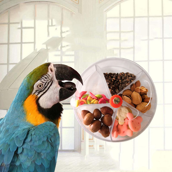 parrot puzzle feeder