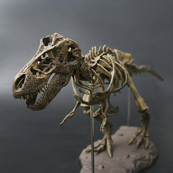 4D Tyrannosaurus Rex Excavation Science Kit Dig Up Dinosaur and ...