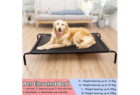 elevated pet bed xl