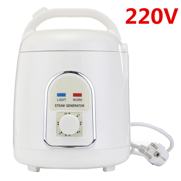 110V/220V Portable Indoor Pot Steam Sauna Home Steamer Spa Skin Bath