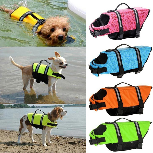 dog swim vest