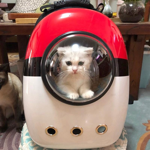 Pokeball cat carrier best sale