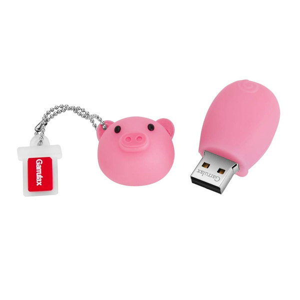 Cartoon Piglet USB Flash Drives, 8GB / 16GB / 32GB Waterproof High Speed  USB 2.0 Data Storage Memory Stick Cute Pendrive | Wish