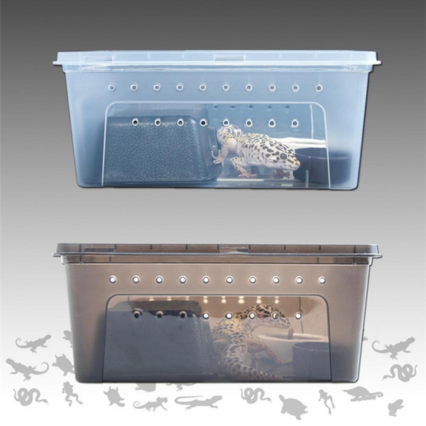 Plastic Frosted Reptile Feeding Box Lizard Spider Hatching Rearing