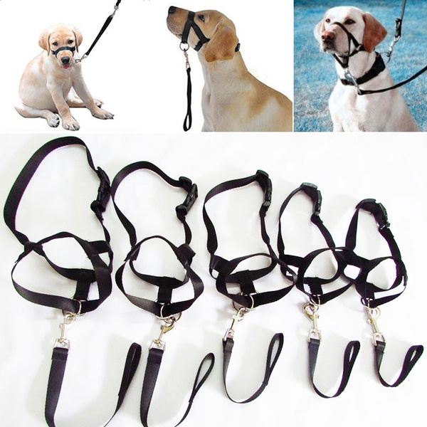 head muzzle for dogs