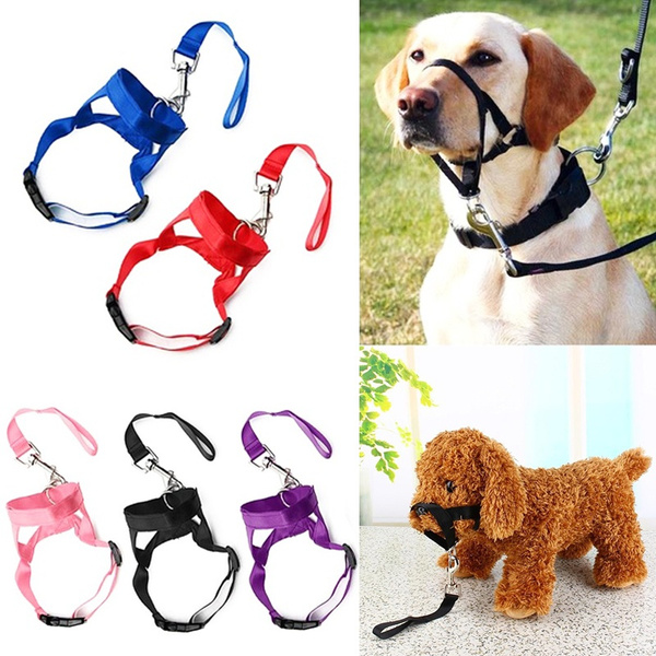 nose leash for dogs