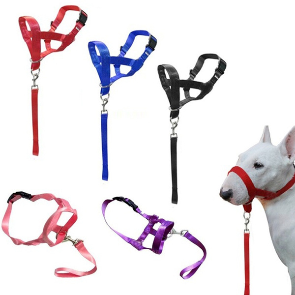 nose leash for dogs