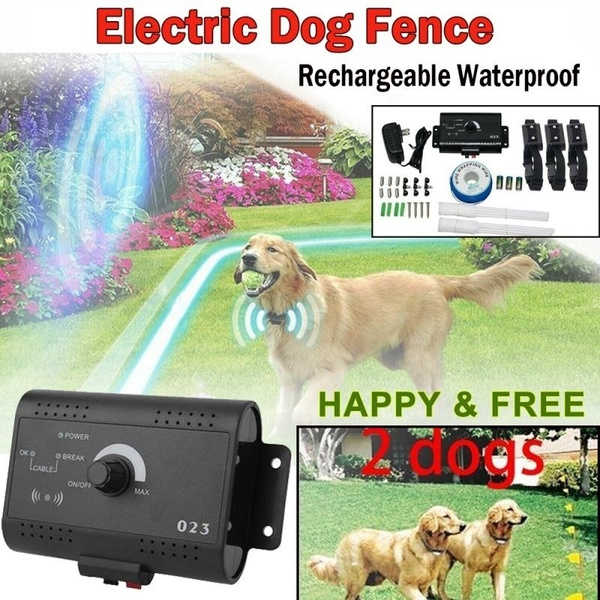 plug in dog fence
