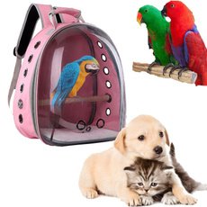 pethikingbag, Parrot, petcapsulebag, Pets