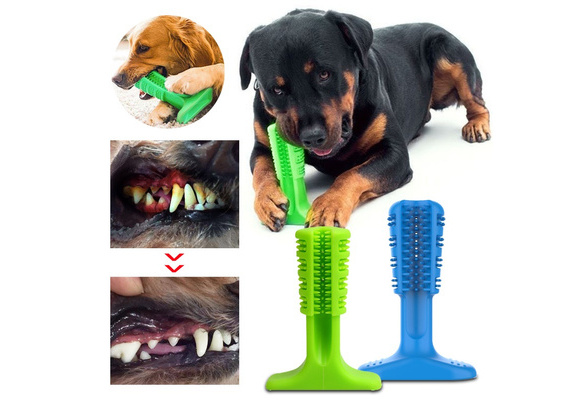 wisdom dog toothbrush stick