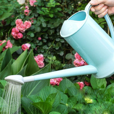 Plants, Flowers, Garden, Pot