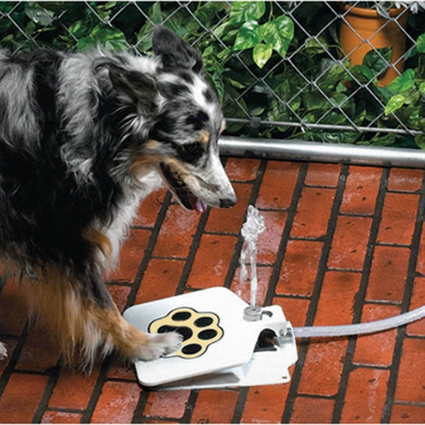 Distributeur du0027eau pour animaux de compagnie chien piétinant lu0027équipement  de plein air du distributeur du0027eau pour chiens  Wish