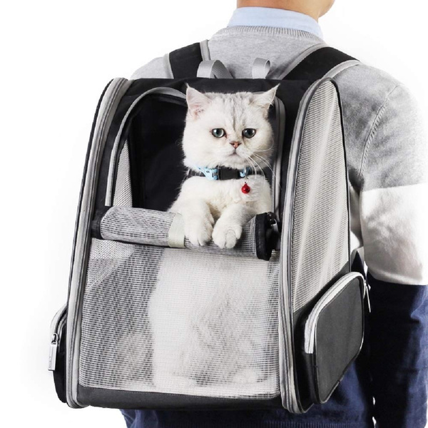 the traveler cat backpack